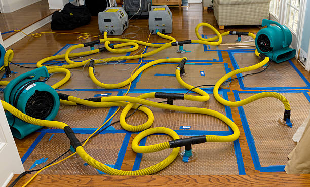 Professional Sewage Cleanup technician working in Lucerne Valley, CA